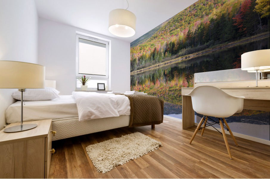 Kiah Pond - Sandwich New Hampshire Mural print