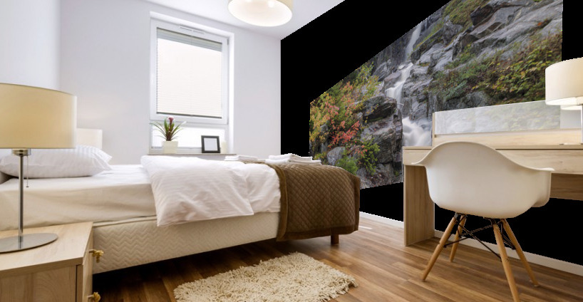 Silver Cascade - Crawford Notch New Hampshire  Mural print