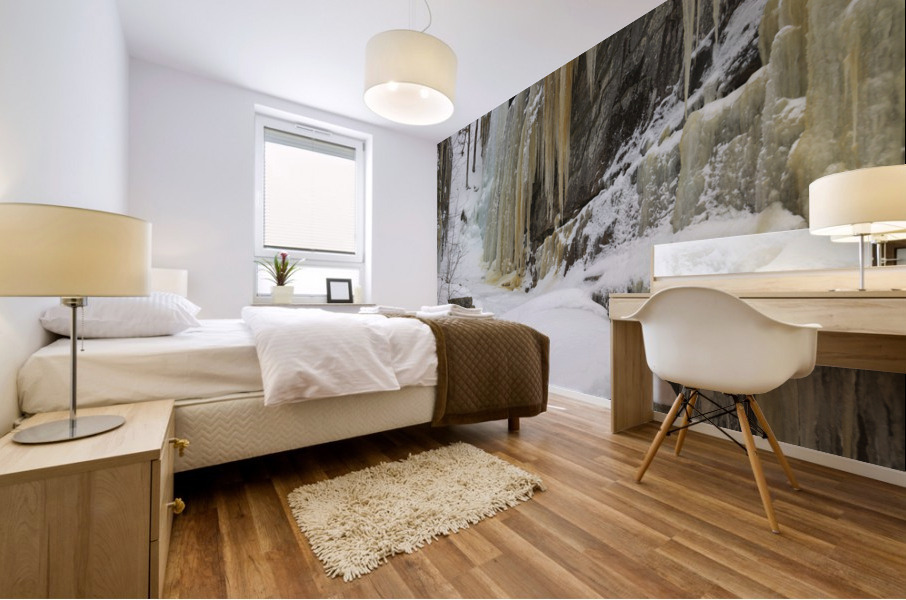 Pitcher Falls - Albany New Hampshire Mural print