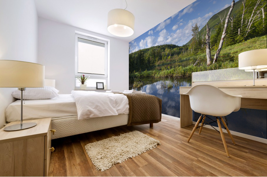 Zealand Pond - White Mountains New Hampshire Mural print