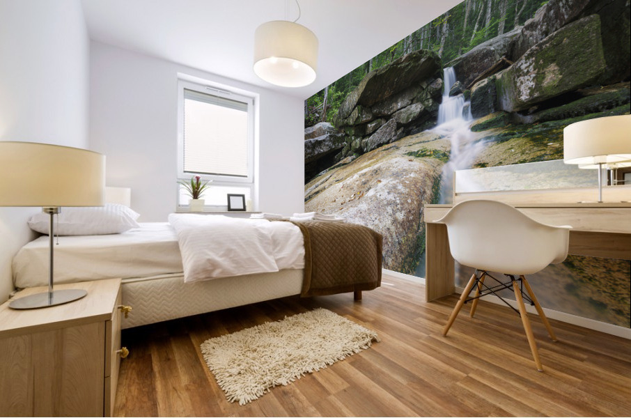 Mt Field Brook Cascades - Bethlehem New Hampshire Mural print