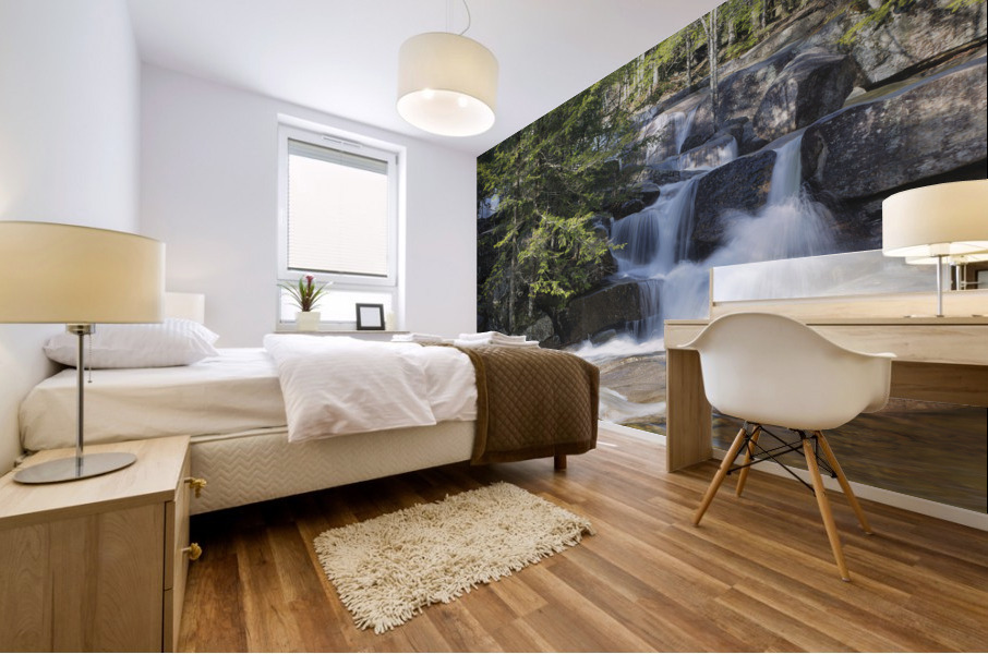 Dianas Baths - Bartlett New Hampshire Mural print