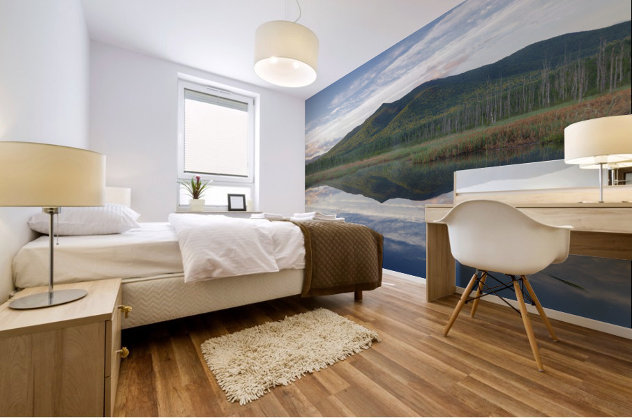 Cherry Mountain - Moorhen Marsh Pondicherry Wildlife Refuge Mural print