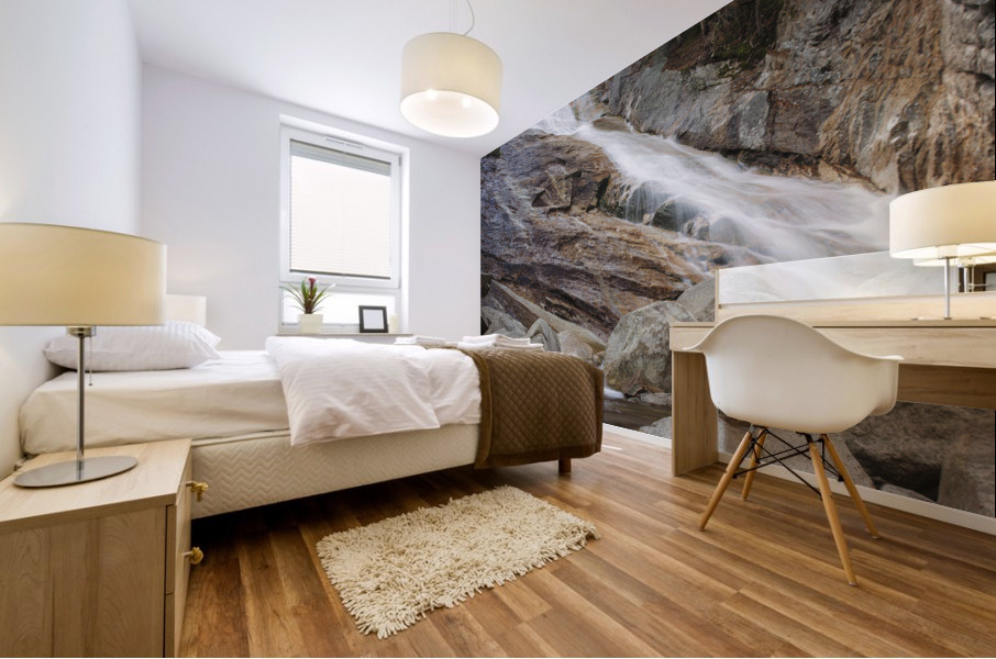 Ripley Falls - Crawford Notch State Park New Hampshire Mural print