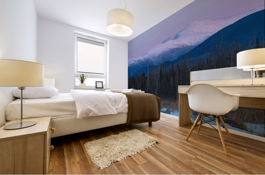 Pondicherry Wildlife Refuge - Jefferson New Hampshire Mural print