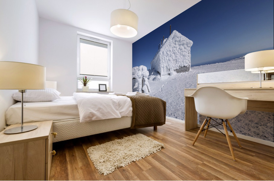 Mount Washington - Sargent’s Purchase New Hampshire Mural print