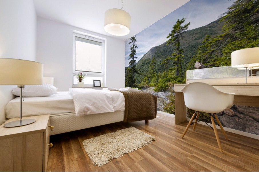 Bicknell Ridge Trail - White Mountains New Hampshire Mural print