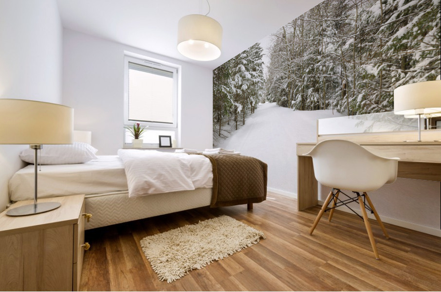 Franconia Bike Path - Franconia Notch New Hampshire Mural print