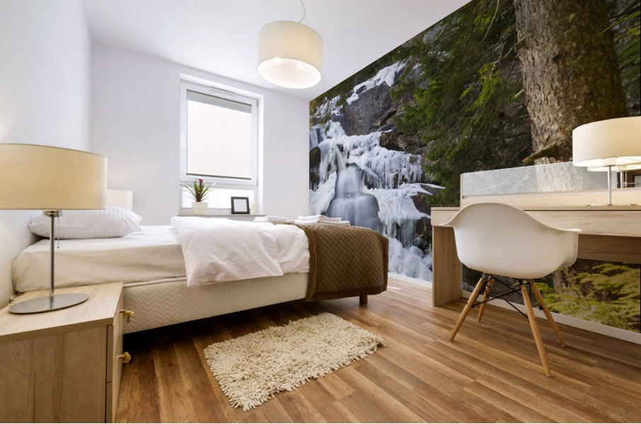 Georgiana Falls - Franconia Notch State Park New Hampshire Mural print