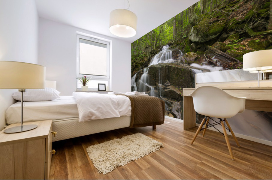 Franconia Notch - White Mountains New Hampshire Mural print