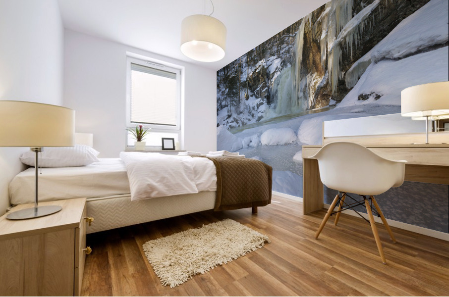 Kinsman Falls - Franconia Notch State Park New Hampshire Mural print