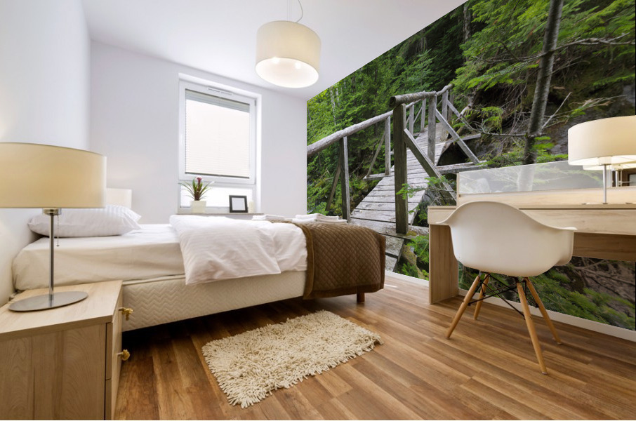 Randolph Path - Low and Burbanks Grant New Hampshire Mural print