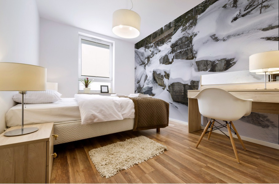 Upper Ammonoosuc Falls - Crawfords Purchase New Hampshire Mural print