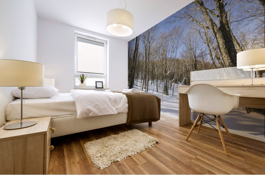 Kinsman Notch - North Woodstock New Hampshire Mural print