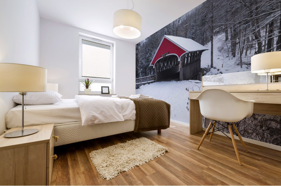 Franconia Notch - White Mountains New Hampshire Mural print