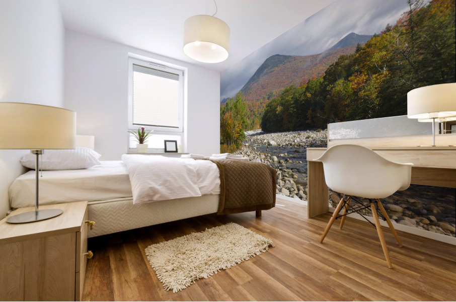 East Branch of the Pemigewasset River - Lincoln New Hampshire Mural print