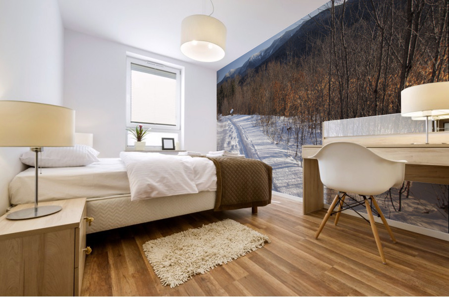 Forest Discovery Trail - White Mountains New Hampshire Mural print