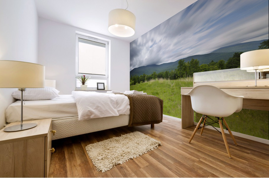 Breezy Point - Warren New Hampshire USA Mural print