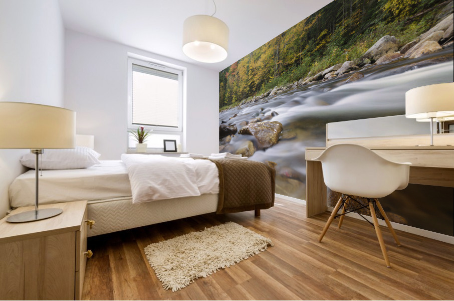 Ammonoosuc River - Carroll New Hampshire Mural print
