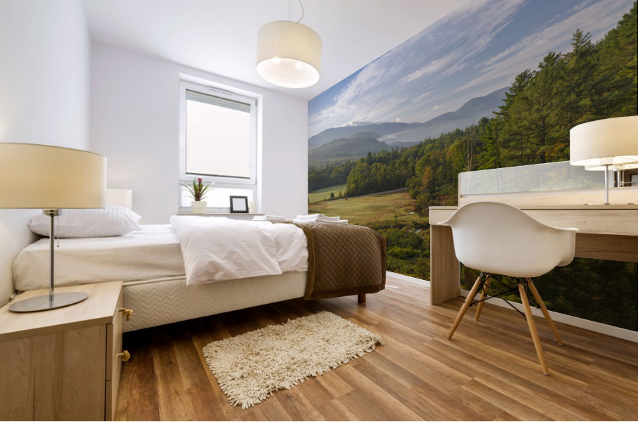 Hildreth Dam - Warren New Hampshire Mural print