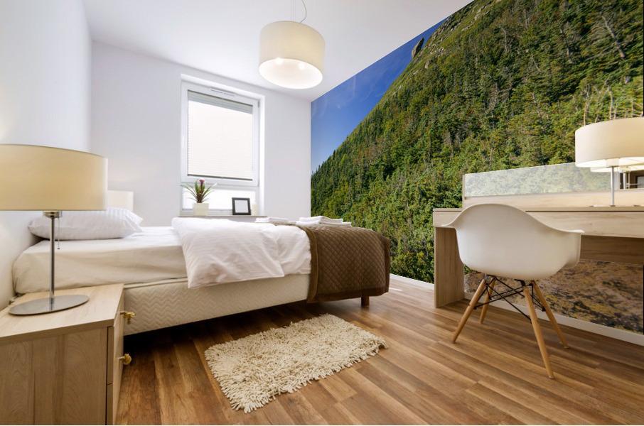 Glen Boulder - White Mountains New Hampshire Mural print