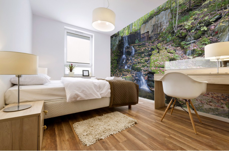 Rollo Fall - Randolph New Hampshire Mural print