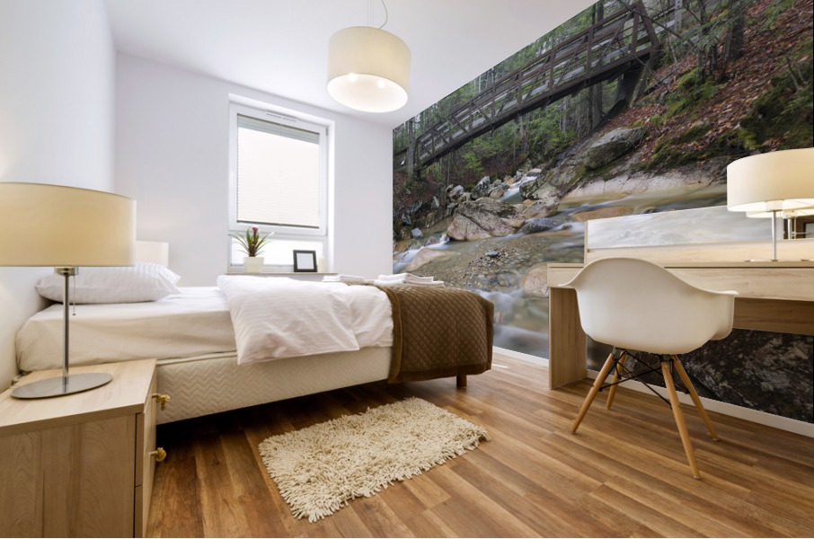 Pemigewasset River - Franconia Notch State Park New Hampshire U Mural print