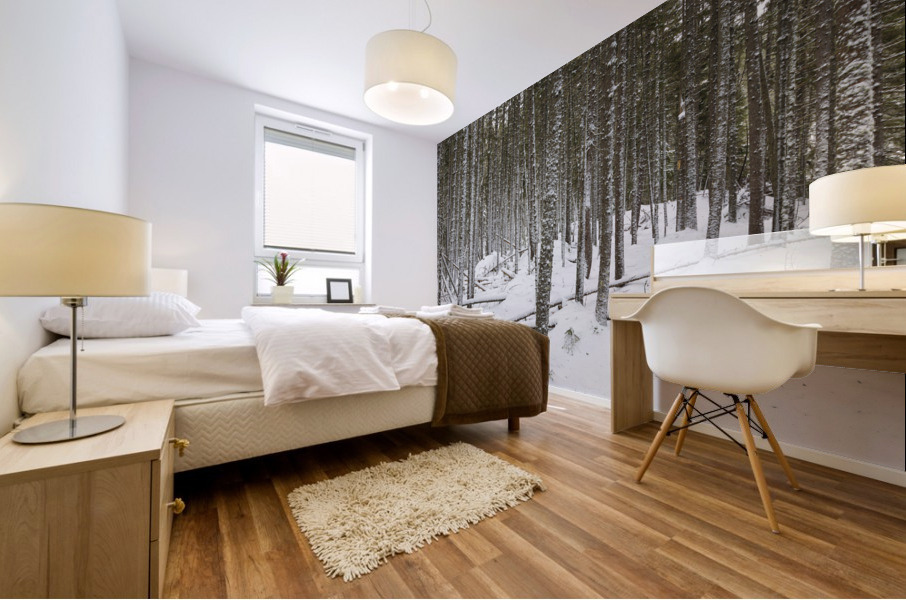 Crawfords Purchase New Hampshire Mural print