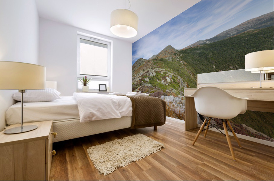 Crawford Path - Mt Monroe New Hampshire Mural print