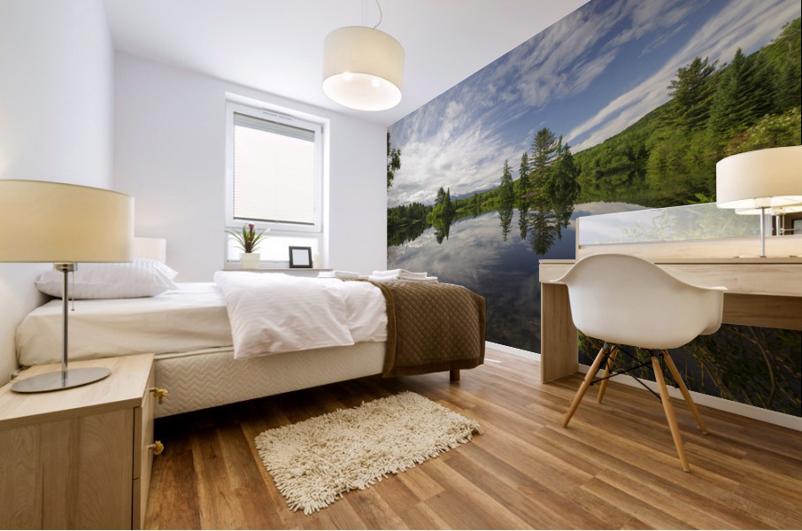 Coffin Pond - Sugar Hill New Hampshire Mural print