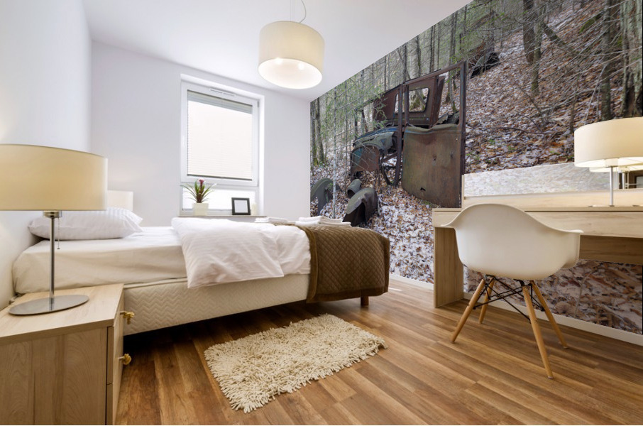 Tunnel Brook - Benton New Hampshire Mural print