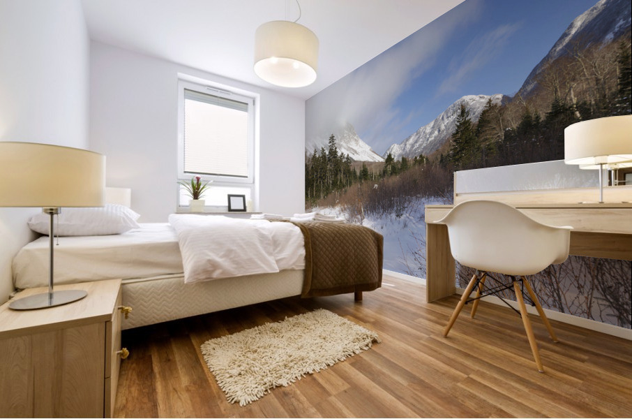 Pemi Trail - Franconia New Hampshire Mural print