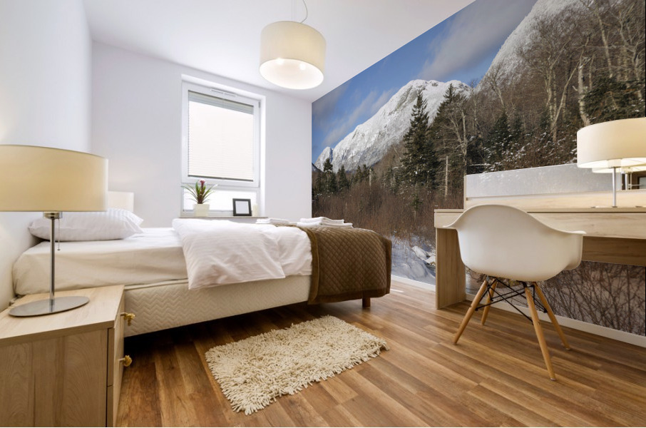 Pemi Trail - Franconia Notch State Park New Hampshire Mural print