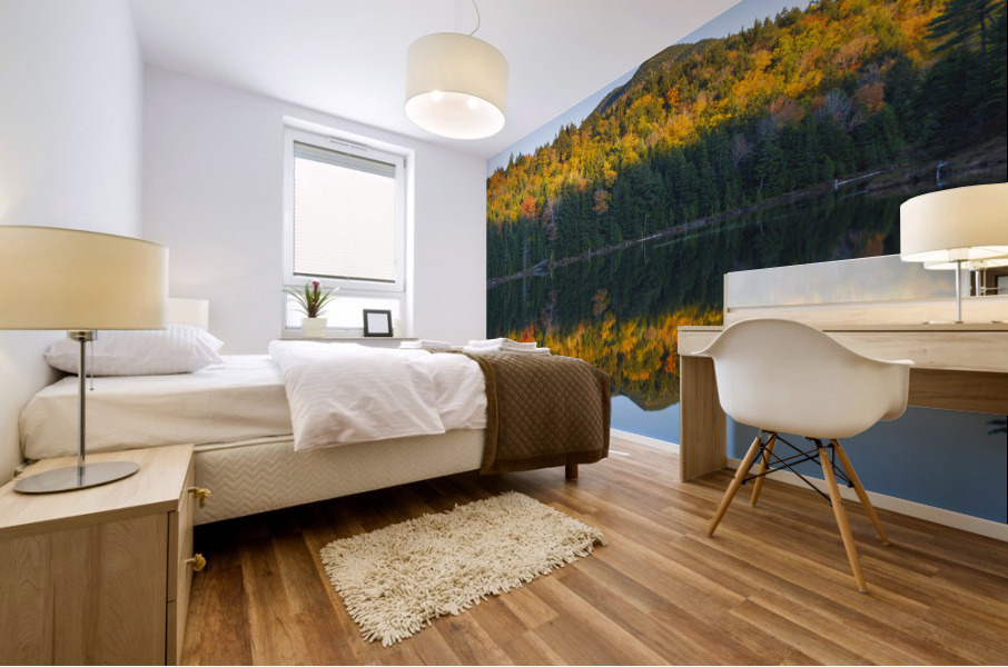 Rocky Gorge Scenic Area - White Mountains New Hampshire Mural print