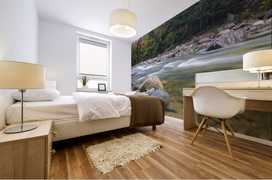 East Branch of the Pemigewasset River - Lincoln New Hampshire Mural print