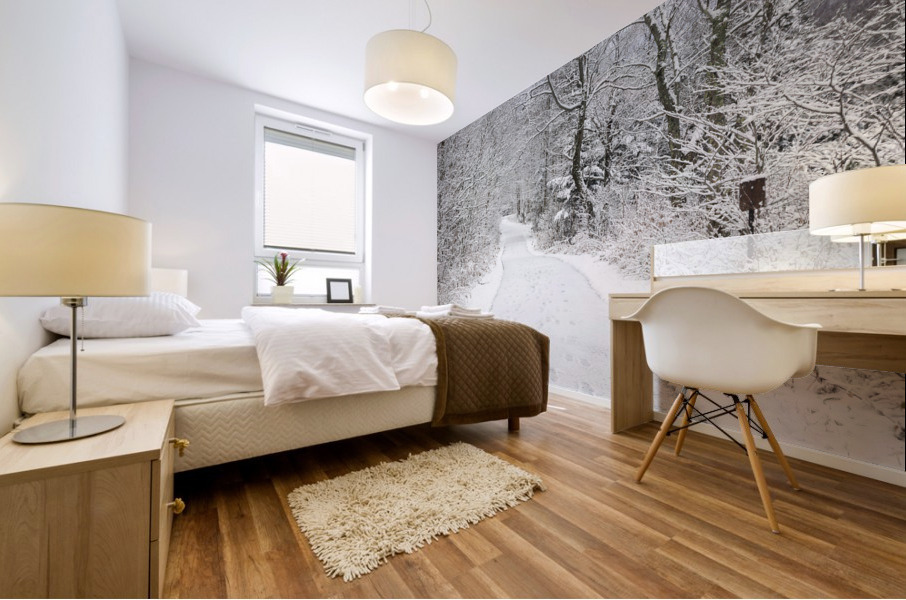 Franconia Bike Path - Franconia Notch New Hampshire Mural print