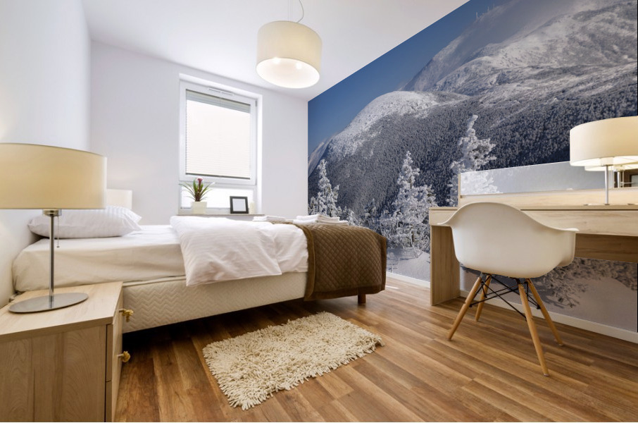 Mount Eisenhower - White Mountains New Hampshire Mural print