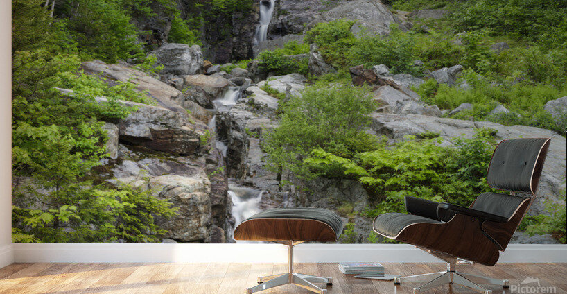Silver Cascade - Crawford Notch New Hampshire Wall Murals