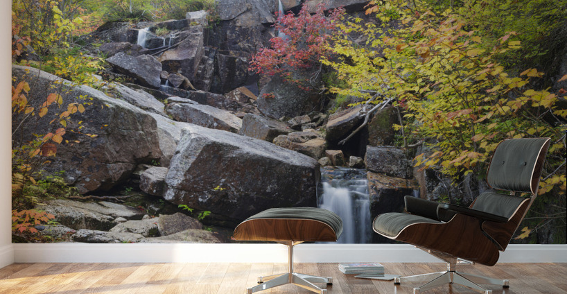 Zealand Falls - Bethlehem New Hampshire Wall Murals