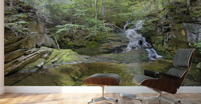 Tama Fall - Randolph New Hampshire  Wall Murals