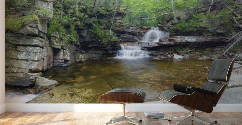 Bemis Brook Falls - Harts Location New Hampshire Wall Murals