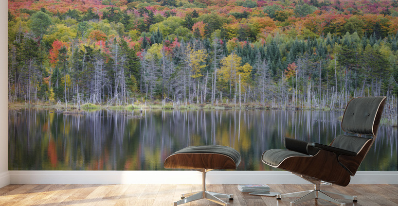 Old Cherry Mountain Road - Carroll New Hampshire Wall Murals
