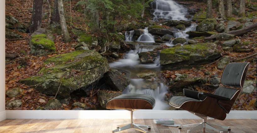 Rollo Fall - Randolph New Hampshire Wall Murals