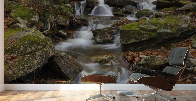 Rollo Fall - Randolph New Hampshire Wall Murals