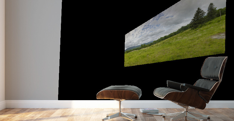 Breezy Point - Warren New Hampshire Wall Murals