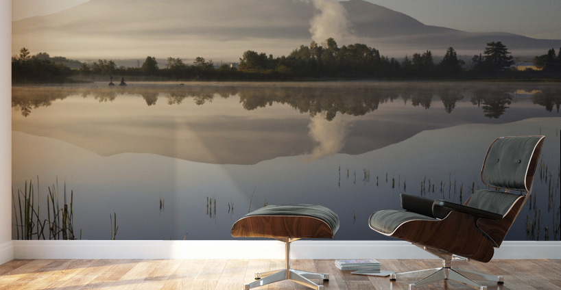 Airport Marsh  - Whitefield New Hampshire Wall Murals