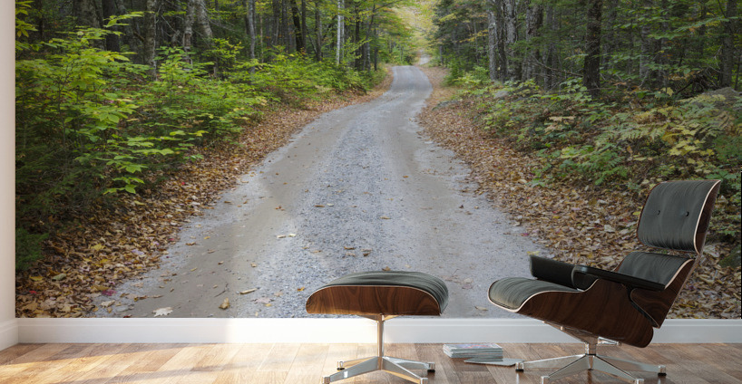 Sandwich Notch Road - Sandwich New Hampshire Wall Murals