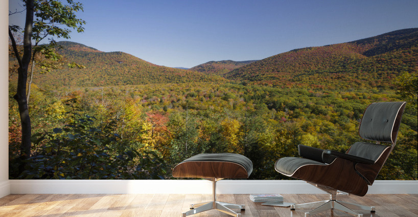 Crawford Notch - Harts Location New Hampshire Wall Murals