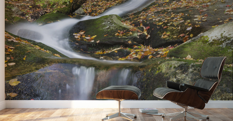 Clough Mine Brook - Kinsman Notch New Hampshire Wall Murals