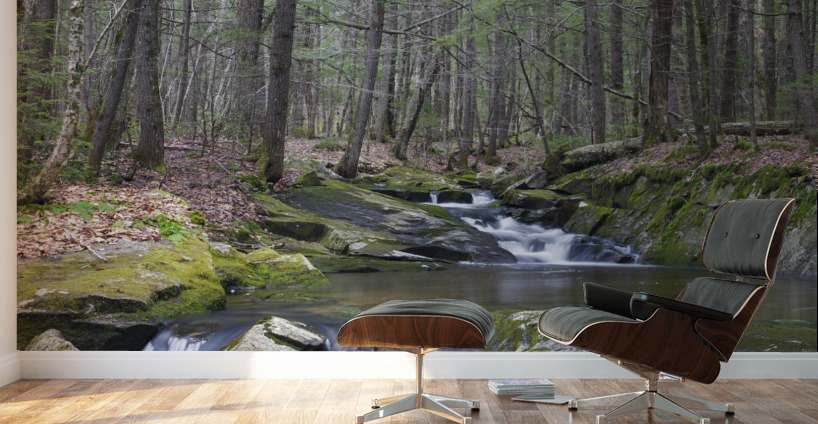 Pike Brook - North Woodstock New Hampshire Wall Murals